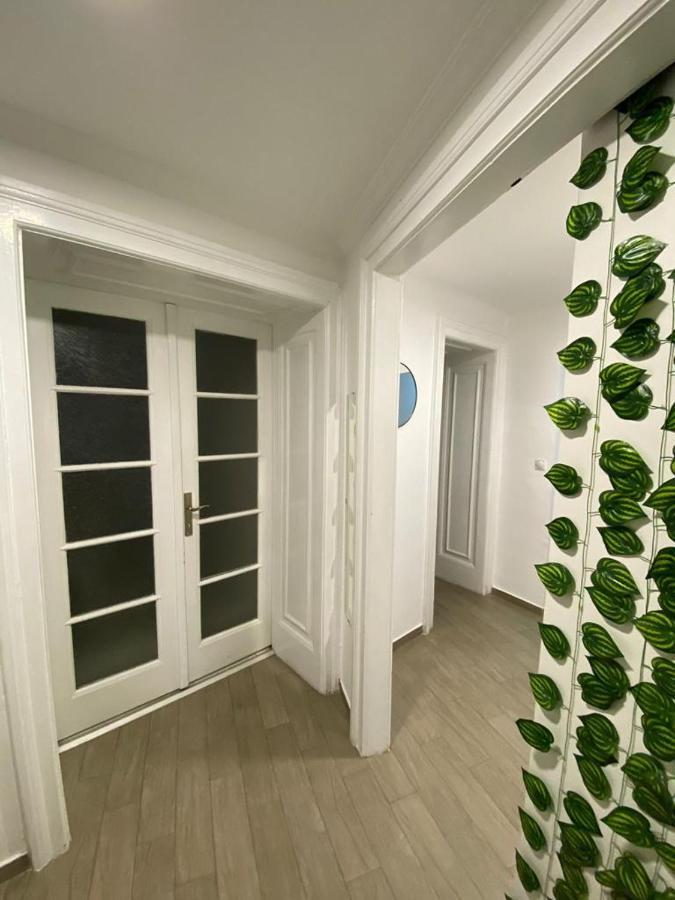 Lana Apartman Belgrad Exteriör bild